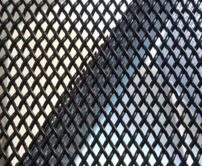 Black Screen Mesh Stainless Steel Wire Mesh Screen Fo - vrogue.co